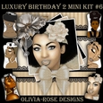 Luxury Birthday 2 Mini Kit #6
