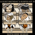 Luxury Birthday 2 Bumper Kit #1