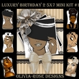 Luxury Birthday 2 5X7 Mini Kit #1 ,
