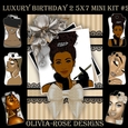 Luxury Birthday 2 5X7 Mini Kit #2 ,