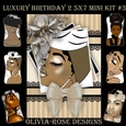 Luxury Birthday 2 5X7 Mini Kit #3 ,