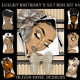 Luxury Birthday 2 5X7 Mini Kit #4 ,