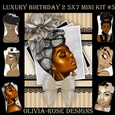 Luxury Birthday 2 5X7 Mini Kit #5 ,