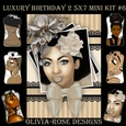 Luxury Birthday 2 5X7 Mini Kit #6 ,