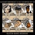 Luxury Birthday 2 5X7 Bumper Kit #1 ,