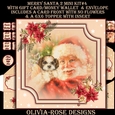 Merry Santa 2 Mini Kit #4 AN NO FLOWERS & A 6X6 TOPPER INSERT**