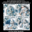 Blue Christmas Bumper Kit #1