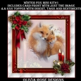 Winter Fox Mini Kit #1