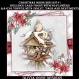 Christmas Birds Mini Kit #1