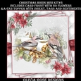 Christmas Birds Mini Kit #3