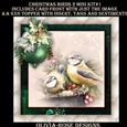 Christmas Birds 2 Mini Kit #1