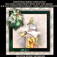 Christmas Birds 2 Mini Kit #2