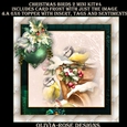 Christmas Birds 2 Mini Kit #4