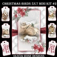 Christmas Birds 5X7 Mini Kit #2