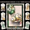 Christmas Birds 2 5X7 Mini Kit #1