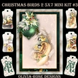 Christmas Birds 2 5X7 Mini Kit #3