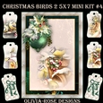 Christmas Birds 2 5X7 Mini Kit #4