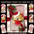 Christmas Teddy 5X7 Mini Kit #2  