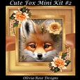 Cute Fox Mini Kit #2