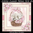 Little Lamb Mini Kit #1
