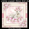 Little Lamb Mini Kit #2