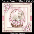 Little Lamb Mini Kit #3