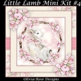 Little Lamb Mini Kit #4