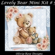 Lovely Bear Mini Kit #5 **Includes card front with no flowers**