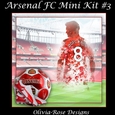 Arsenal FC Mini Kit #3  