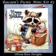 Racoons Picnic Mini Kit #2