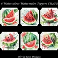 6 Watercolour Watermelon Toppers