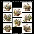 8 Watercolour Wild Flower Backgrounds
