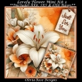 Lovely Flower Mini Kit 3 **Includes 8X8, 7X7 & 6X6 card bases**