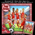 Arsenal FC Mini Kit Ages 6-11 included