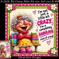 A Little Bit Crazy Mini Kit **Includes 5X7, 6x6, 7x7 8X8 Card Bases**