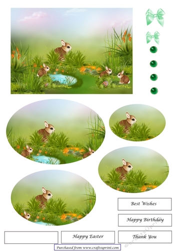 Family Of Rabbits