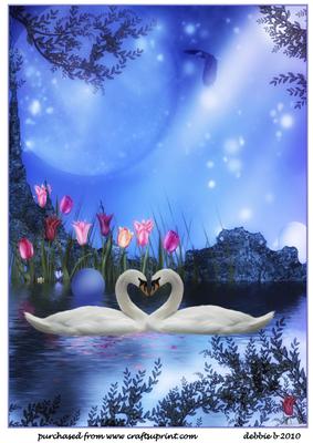 Beautiful Swan Lake Anniversary/engagement