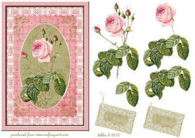 Beauty is the Rose