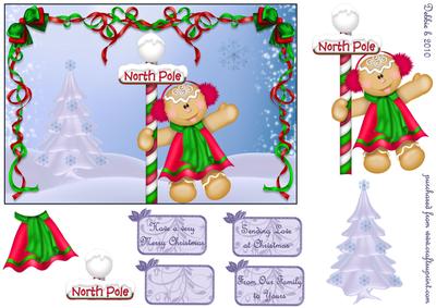 To the North Pole