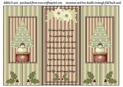 It's Snow Wonder Double Fold Back Card