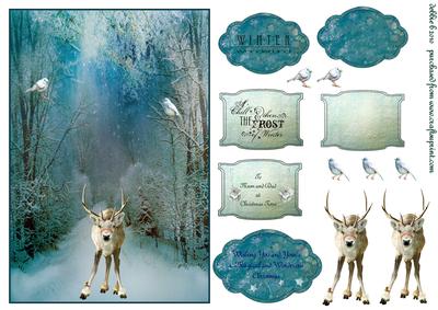 The Frost of Winter