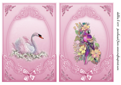 The Beauty of the Swan Card Fronts