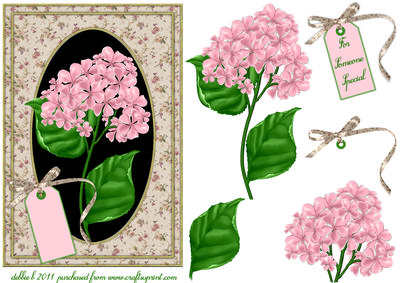 Beautiful Pink Hydrangeas