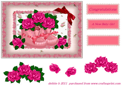 Pink Booties and Roses