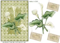 Beautiful Framed Cala Lillies