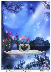 Beautiful Swan Lake Anniversary/engagement