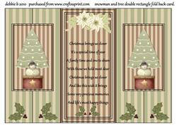 It's Snow Wonder Double Fold Back Card