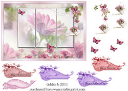 Framed in Flowers