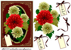 Cream & Red Dahlias