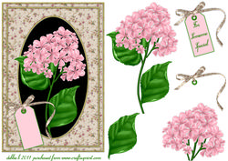 Beautiful Pink Hydrangeas